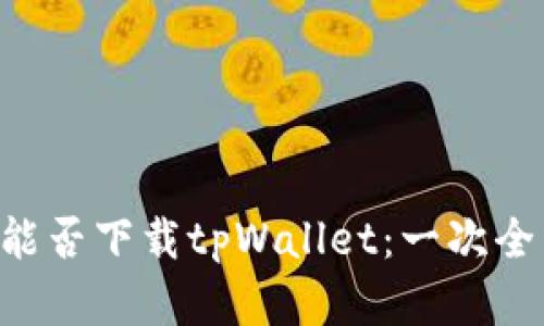 华为Mate 9能否下载tpWallet：一次全面评测与分析
