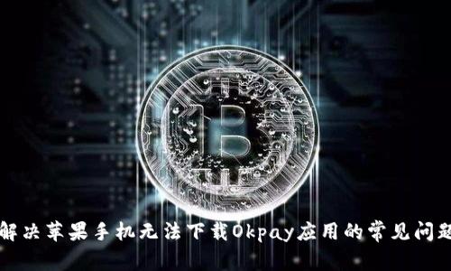 解决苹果手机无法下载Okpay应用的常见问题