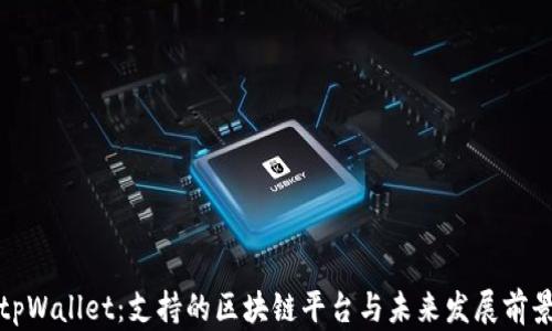 
tpWallet：支持的区块链平台与未来发展前景