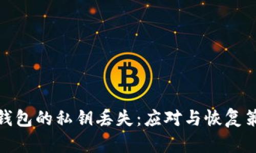 冷钱包的私钥丢失：应对与恢复策略