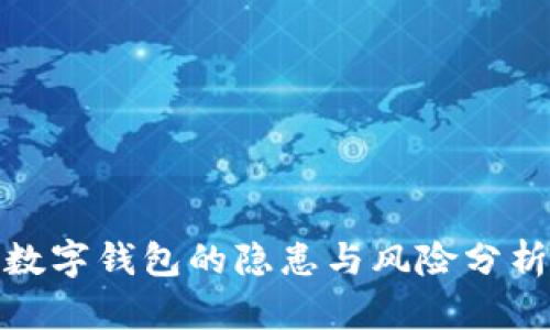 数字钱包的隐患与风险分析