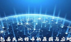 冷钱包丢失比特币的原因与应对策略