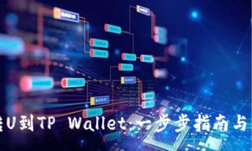 :
交易所转U到TP Wallet：一步步指南与注意事项