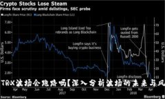   TRX波场会跑路吗？深入分析波场的未来与风控