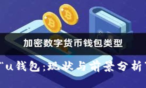 “u钱包：现状与前景分析”