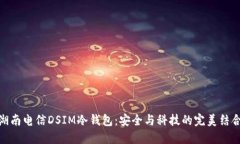 湖南电信DSIM冷钱包：安全与科技的完美结合