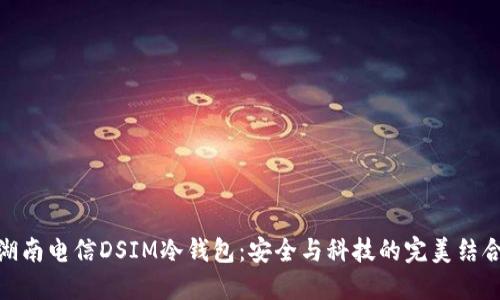 湖南电信DSIM冷钱包：安全与科技的完美结合