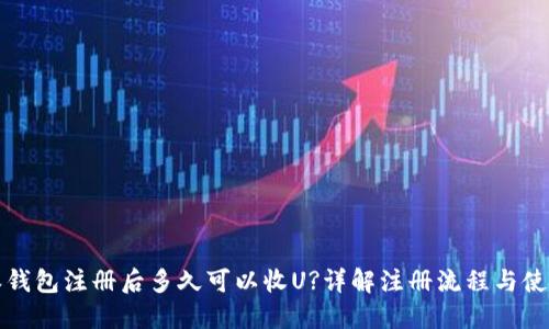 比特派钱包注册后多久可以收U?详解注册流程与使用技巧