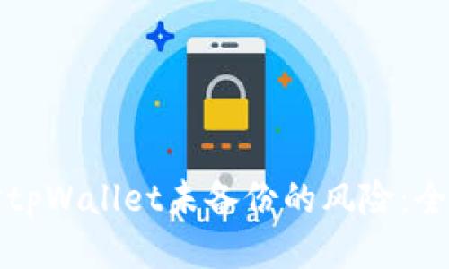 如何应对tpWallet未备份的风险：全方位指南