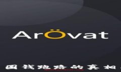   虚拟币平台圈钱跑路的真相与防范措施