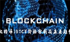 今日比特币（BTC）价格分析及未来趋势展望