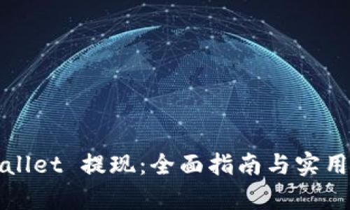 tpWallet 提现：全面指南与实用技巧