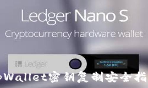   
tpWallet密钥复制安全指南