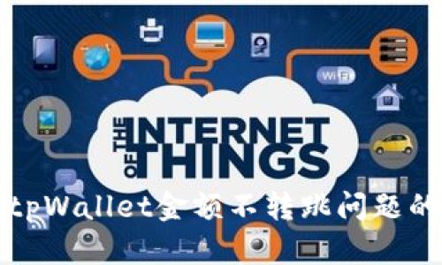 如何解决tpWallet金额不转跳问题的详细指南