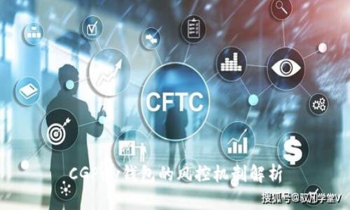 CGPay钱包的风控机制解析