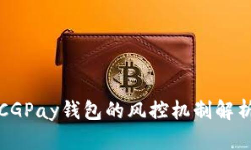 CGPay钱包的风控机制解析