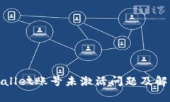 : tpWallet账号未激活问题及解决方案