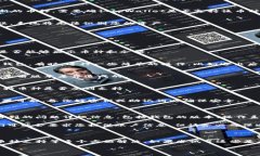 关于您提到的“tpWallet登陆后不显示币跟余额”的