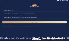 深夜被盗：tpWallet用户的警惕与防范之道