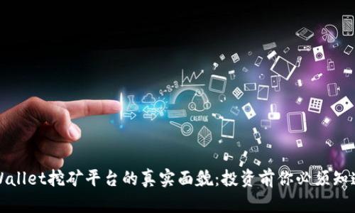 揭秘tpWallet挖矿平台的真实面貌：投资前你必须知道的秘密