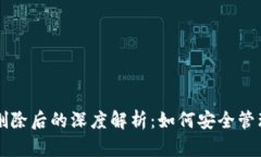 区块链冷钱包删除后的深度解析：如何安全管理
