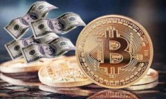 保护你的数字资产：冷钱包安全隐患及防护指南