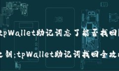 重要提示：tpWallet助记词忘了能否找回？必读指南