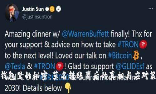 冷钱包里的秘密：莫名转账背后的真相与应对策略