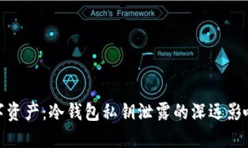 保护你的数字资产：冷钱包私钥泄露的深远影响与应对措施