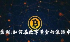 探索币圈盈利：如何在数字黄金的浪潮中获得财