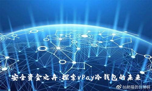 安全资金之舟：探索vPay冷钱包的未来