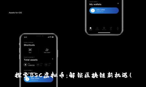 探索BSC虚拟币：解锁区块链新机遇！