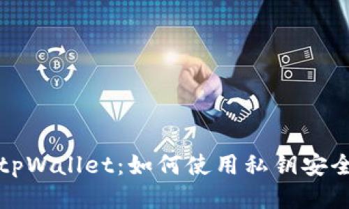 探索tpWallet：如何使用私钥安全登录