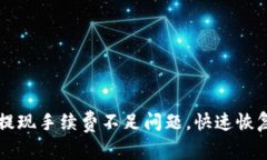 解决tpWallet提现手续费不足问题，快速恢复流畅交