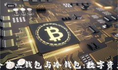 深入探索全节点钱包与冷钱包：数字资产安全之