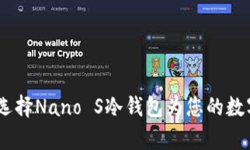 拥抱安全储存：选择Nano S冷钱包为您的数字资产保驾护航