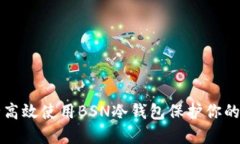 如何安全高效使用BSN冷钱包保护你的数字资产