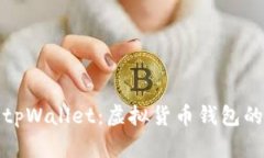 全面解析tpWallet：虚拟货币钱包的未来之路