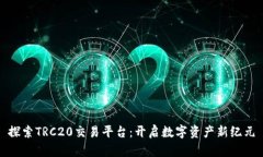 探索TRC20交易平台：开启数字资产新纪元