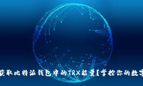 如何获取比特派钱包中的TRX能量？掌控你的数字资产