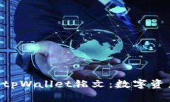 ziaoti探索tpWallet铭文：数字资产的新篇章