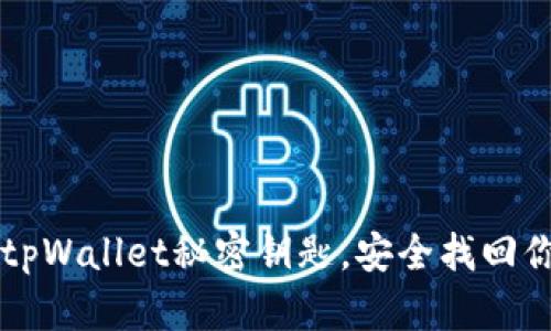 重拾失落的tpWallet秘密钥匙，安全找回你的数字财富