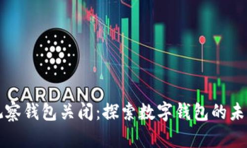 tpWallet观察钱包关闭：探索数字钱包的未来与安全性