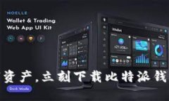 轻松掌握数字资产，立刻下载比特派钱包苹果版