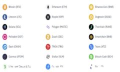 掌握未来支付：OKPay钱包如何改变你的消费体验