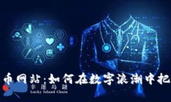 揭秘虚拟货币网站：如何在数字浪潮中把握财富