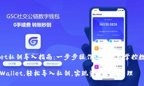 tpWallet私钥导入指南：一步步操作让你轻松掌控数字资产

掌握tpWallet，轻松导入私钥，实现资产安全管理