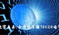 拥抱数字未来：全方位了解TRC20电子钱包