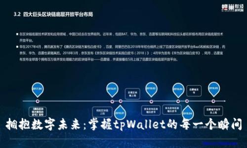 拥抱数字未来：掌握tpWallet的每一个瞬间