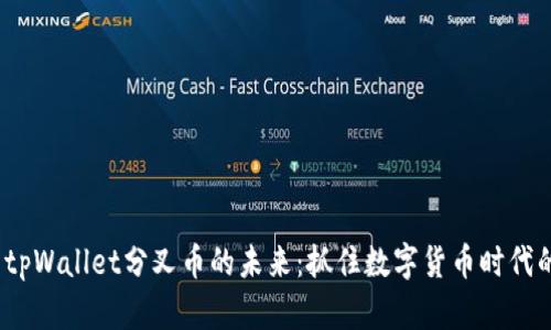探索 tpWallet分叉币的未来：抓住数字货币时代的机遇